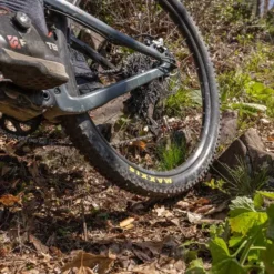 Stans NoTubes Arch S 6-Bolt 29er Rear MTB Wheel - SRAM XDR -Shimano Store R7 14