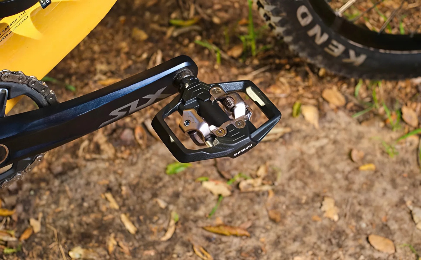 Shimano Store -Shimano Store BetterImage 1751652567234